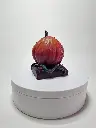 20230908_121956.webp