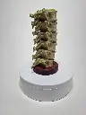 20230908_122431.webp