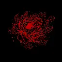 FlowerPeo_DesignR.webp