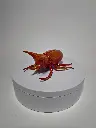 StagBeetle