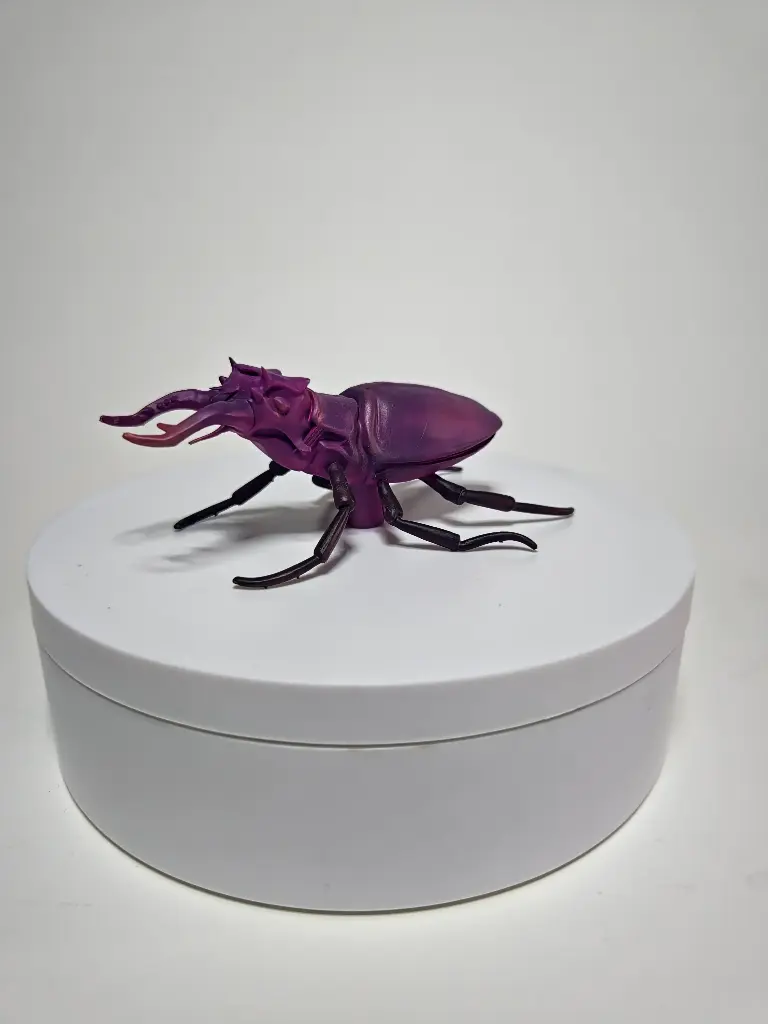 SttagBeetle