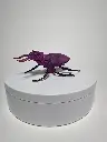 SttagBeetle