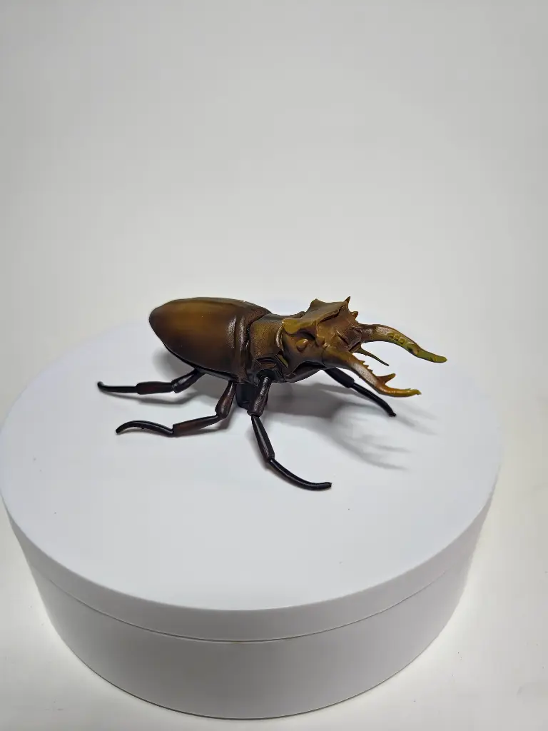 StagBeetle