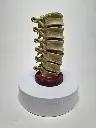 SpinalColumn
