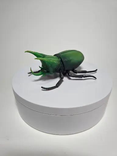 StagBeetle