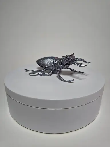 StagBeetle