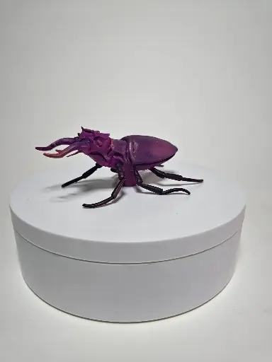 SttagBeetle