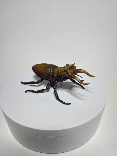 StagBeetle